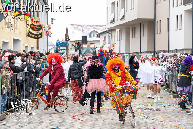 Foto Laudi_faschingszug_hofkirchen-29.jpg